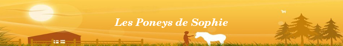 Les Poneys de Sophie